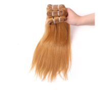 European hair 10"-34" fr.